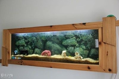 壁掛式魚缸:壁掛式魚缸是一種新型的家居裝飾品壁掛式魚缸的特點(diǎn) 魚缸百科 第4張 壁掛式魚缸:壁掛式魚缸是一種新型的家居裝飾品壁掛式魚缸的特點(diǎn) 壁掛式魚缸:壁掛式魚缸是一種新型的家居裝飾品壁掛式魚缸的特點(diǎn) 魚缸百科 第4張