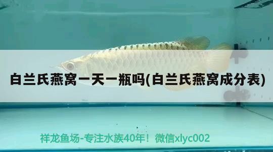 龍魚與虎魚混養(yǎng)有什么意義嗎龍魚與虎魚混養(yǎng)有什么意義嗎（龍魚與虎魚混養(yǎng)有什么意義嗎）