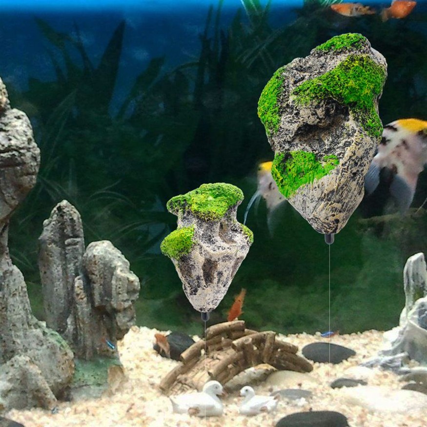 打了蠟的石頭能放魚缸嗎：打了蠟的石頭可以放入魚缸嗎？ 打了蠟的石頭能放魚缸嗎：打了蠟的石頭可以放入魚缸嗎？ 魚缸百科 第4張