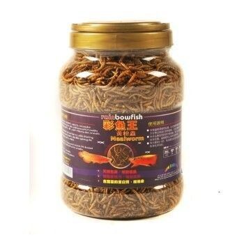龍魚飼料品牌排名第一名是什么品種