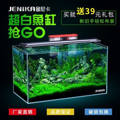 初學(xué)養(yǎng)魚小魚缸適合養(yǎng)什么樣的魚苗：小魚缸養(yǎng)魚的注意事項