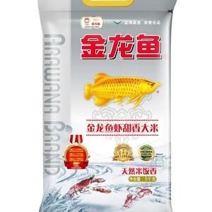 金龍魚(yú)怕鹽嗎