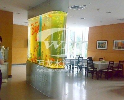 龍魚缸換水注意什么，如何判斷龍魚適應新水,龍魚缸過濾系統維護要點