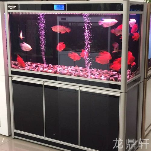 定做的魚缸和買的魚缸有什么不同：定做的魚缸和買的魚缸各有優(yōu)缺點(diǎn)