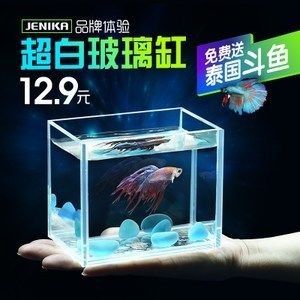 超白魚缸哪個牌子的好用:超白魚缸品牌推薦 魚缸百科 第3張 超白魚缸哪個牌子的好用:超白魚缸品牌推薦 超白魚缸哪個牌子的好用:超白魚缸品牌推薦 魚缸百科 第3張