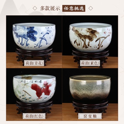 紅龍魚用白燈還是黃燈養好（紅龍魚用白燈還是黃燈養好呢）
