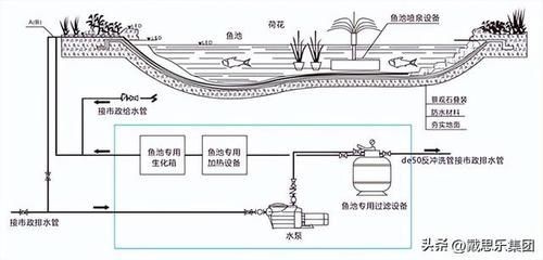 不用電的魚缸水循環怎么做過濾 不用電的魚缸水循環怎么做過濾 魚缸百科 第3張