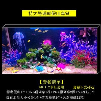 多大的魚缸可以群游：如何選擇適合的魚缸群游？