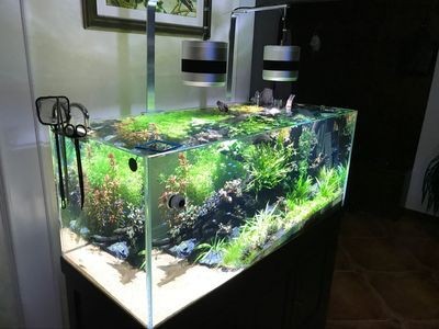 大型魚缸怎么拆：拆卸大型魚缸的一些方法和注意事項