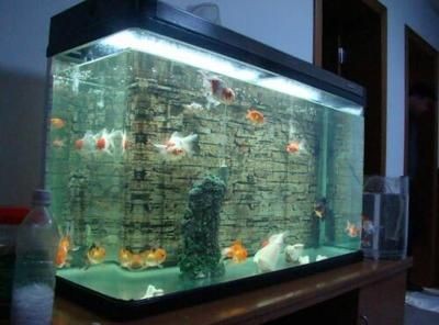 大型魚缸怎么拆：拆卸大型魚缸的一些方法和注意事項