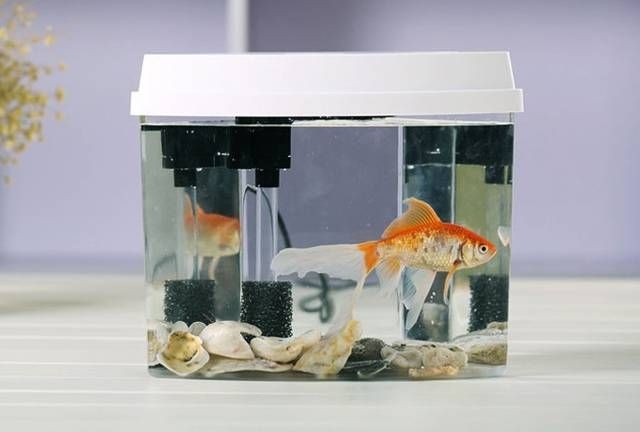比較好的魚缸品牌排行榜：2024年魚缸品牌排行榜 比較好的魚缸品牌排行榜：2024年魚缸品牌排行榜 魚缸百科 第4張