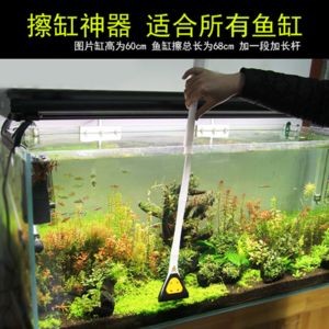 玻璃魚缸怎么清洗水怎樣倒出來：清洗魚缸的步驟