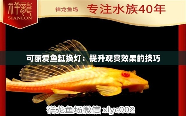 紅龍魚趴缸亂竄怎么辦啊怎么治（紅龍魚趴缸亂竄怎么辦啊怎么治好）