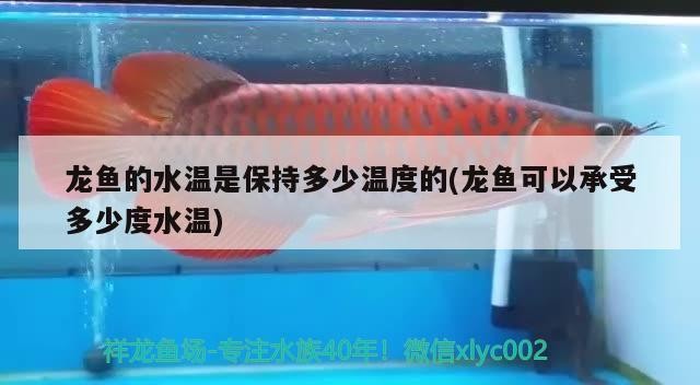 錦江區鴻福水族工作室(錦江區鴻福水族工作室地址) 全國水族館企業名錄 第1張 錦江區鴻福水族工作室(錦江區鴻福水族工作室地址) 錦江區鴻福水族工作室(錦江區鴻福水族工作室地址) 全國水族館企業名錄 第1張