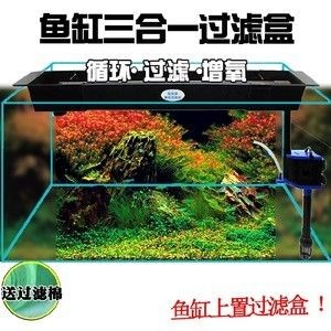 大魚(yú)缸用什么過(guò)濾器好：大型魚(yú)缸過(guò)濾器過(guò)濾器的選擇指南