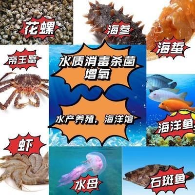 臭氧對魚缸作用是什么：臭氧發生器在水產養殖中的應用