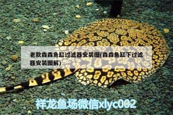 廣饒經濟開發區繡水之道水族館（廣饒經濟開發區繡水之道水族館電話號碼）
