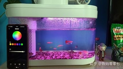 10升的魚(yú)缸養(yǎng)多少小魚(yú):10升的魚(yú)缸養(yǎng)多少小魚(yú)合適,魚(yú)缸養(yǎng)多少小魚(yú)合適 魚(yú)缸百科 第1張 10升的魚(yú)缸養(yǎng)多少小魚(yú):10升的魚(yú)缸養(yǎng)多少小魚(yú)合適,魚(yú)缸養(yǎng)多少小魚(yú)合適 10升的魚(yú)缸養(yǎng)多少小魚(yú):10升的魚(yú)缸養(yǎng)多少小魚(yú)合適,魚(yú)缸養(yǎng)多少小魚(yú)合適 魚(yú)缸百科 第1張