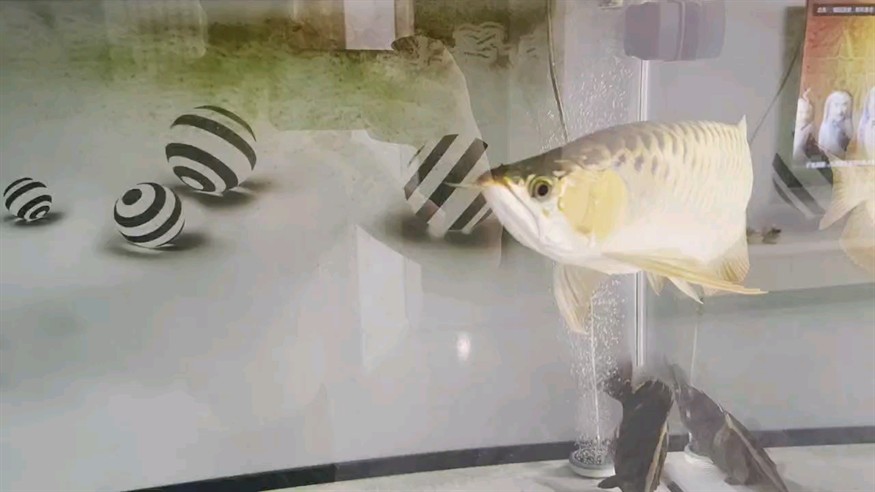 變化不大