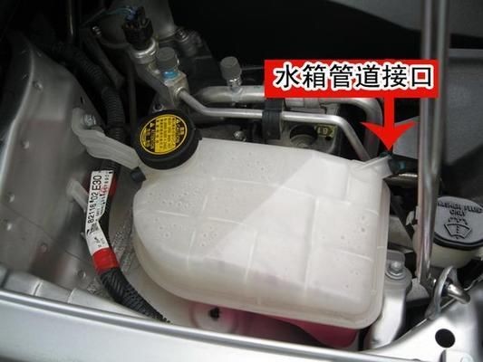 大魚缸滲水怎么補漏,用補漏劑有用嗎視頻 魚缸百科 第4張 大魚缸滲水怎么補漏,用補漏劑有用嗎視頻 大魚缸滲水怎么補漏,用補漏劑有用嗎視頻 魚缸百科 第4張