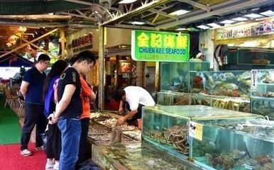 大魚缸哪里買好用：大型魚缸的養護技巧