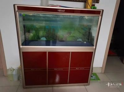 高唐縣徐氏水族經營部（高唐縣徐氏水族經營部地址）