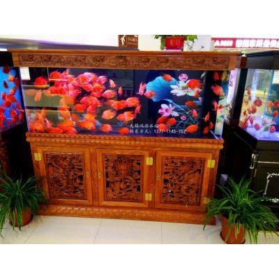 定做觀賞魚缸：定做觀賞魚缸的注意事項，魚缸，打造完美觀賞空間的十大注意事項