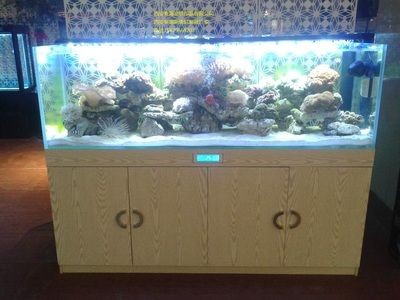 大瀝哪里有魚缸買賣的地方：佛山南海區大瀝鎮大瀝鎮大瀝鎮大瀝鎮魚缸買賣服務，南海大瀝鎮，專業魚缸買賣服務，滿足您的水產養殖