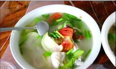 純生態(tài)魚缸帶陸地：生態(tài)缸的種類與選擇，生態(tài)缸，純生態(tài)魚缸與陸地的