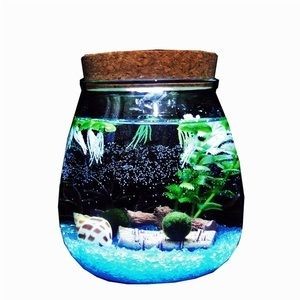 玻璃瓶魚缸：張家港玻璃瓶魚缸制作，家港玻璃瓶魚缸制作，打造精致 玻璃瓶魚缸：張家港玻璃瓶魚缸制作，家港玻璃瓶魚缸制作，打造精致 魚缸百科 第2張