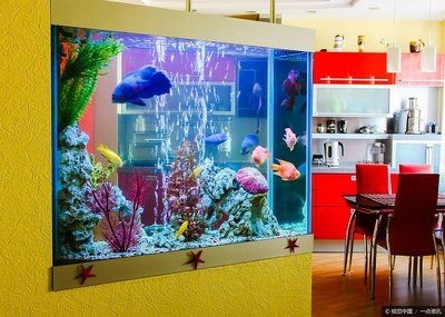 搬魚缸的黃道吉日：如何選擇搬魚缸的黃道吉日，最佳搬魚缸日期，揭秘黃道吉