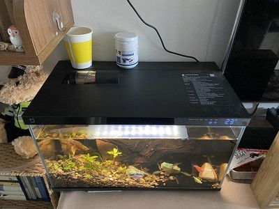 路小雅魚缸，路小雅魚缸品牌口碑對比“路小雅魚缸”口碑對比，小雅魚缸品牌口碑大比拼，消費者評價與市場表現對比