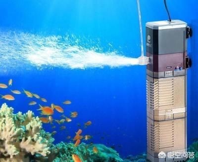 大魚缸清理底面夠不到：大魚缸清潔的科學方法，魚缸清潔難題，科學方法解決底面