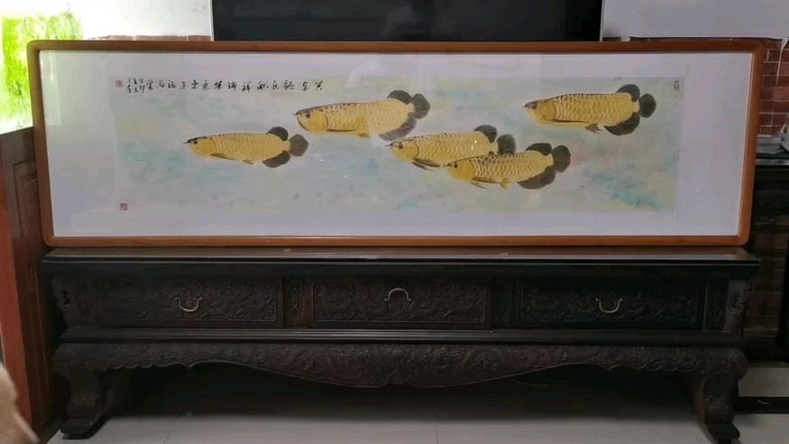 龍魚，魚，神秘而優雅的水族箱生物 龍魚，魚，神秘而優雅的水族箱生物 龍魚論壇 第1張
