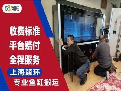 搬家公司搬運(yùn)魚缸多少錢一天：搬家公司搬運(yùn)魚缸的費(fèi)用是多少？公司搬運(yùn)魚缸費(fèi)用詳解，一天多少錢？