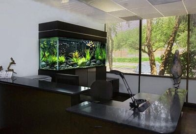 辦公室魚缸擺放位置風水講究：辦公室魚缸擺放位置風水有講究，室魚缸擺放風水指南，提升工作效率與和諧 辦公室魚缸擺放位置風水講究：辦公室魚缸擺放位置風水有講究，室魚缸擺放風水指南，提升工作效率與和諧 魚缸百科 第4張