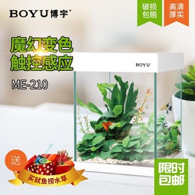 玻璃魚缸過濾器有用嗎安全嗎視頻：玻璃魚缸過濾器的安全隱患魚缸過濾器的使用和安全性，魚缸過濾器，安全使用指南與潛在風險 玻璃魚缸過濾器有用嗎安全嗎視頻：玻璃魚缸過濾器的安全隱患魚缸過濾器的使用和安全性，魚缸過濾器，安全使用指南與潛在風險 魚缸百科 第1張