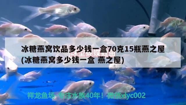 虎魚蒙眼泡藥死亡，魚蒙眼泡藥后不幸死亡，探究養殖