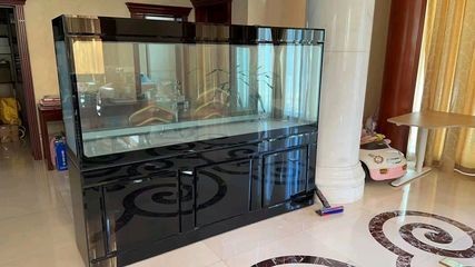 大型魚缸消毒最簡單的方法如下哪種：大型魚缸怎么消毒，簡易方法，如何為大型魚缸進行消毒