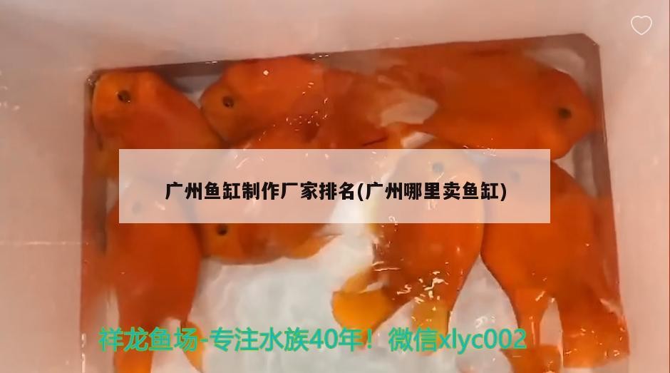 廣州魚缸制作廠家排名(廣州哪里賣魚缸)魚缸制作廠家排名揭曉，哪里能買到優(yōu)質(zhì)的