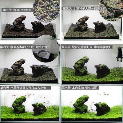 不用電怎么給魚缸過濾：不用電的魚缸過濾方法，無電魚缸過濾，環保節能的養