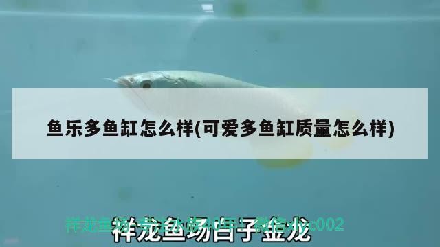 紅龍魚最便宜多少錢一斤啊（紅龍魚最便宜多少錢一斤啊圖片）龍魚價格一覽，最便宜的一斤多少錢