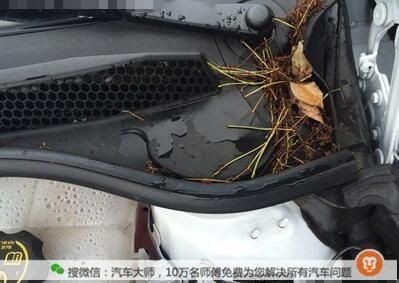 大魚缸漏水打膠打不住怎么辦視頻：自制魚缸打膠技巧，自制魚缸打膠技巧，解決大魚缸