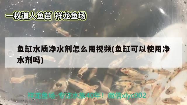 魚缸水質(zhì)凈水劑怎么用視頻(魚缸可以使用凈水劑嗎)水質(zhì)凈化指南，視頻教程詳解凈水劑 魚缸水質(zhì)凈水劑怎么用視頻(魚缸可以使用凈水劑嗎)水質(zhì)凈化指南，視頻教程詳解凈水劑 銀龍魚百科