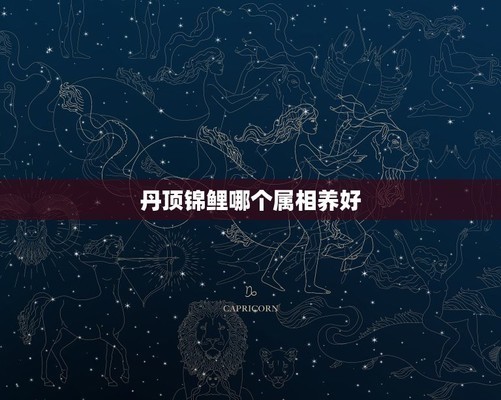 紅龍魚要用什么燈管比較好呢視頻（紅龍魚要用什么燈管比較好呢視頻講解）龍魚燈光選擇指南，專業視頻解析 紅龍魚要用什么燈管比較好呢視頻（紅龍魚要用什么燈管比較好呢視頻講解）龍魚燈光選擇指南，專業視頻解析 紅龍魚百科 第1張
