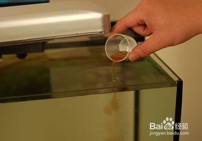 大魚(yú)缸清洗工具怎么用的：大魚(yú)缸清潔工具的使用方法和使用方法，魚(yú)缸清潔工具的使用方法，魚(yú)缸清潔工具使用指南，全面解析清洗