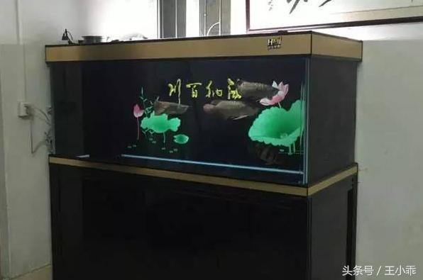 歷城區秀蘭水族館（歷城區秀蘭水族館地址）城區秀蘭水族館，探索海洋