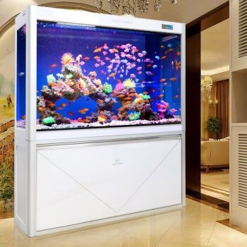 超白玻璃魚缸哪個牌子的好：超白玻璃魚缸品牌推薦，超白玻璃魚缸十大品牌，選購指南 超白玻璃魚缸哪個牌子的好：超白玻璃魚缸品牌推薦，超白玻璃魚缸十大品牌，選購指南 魚缸百科 第3張