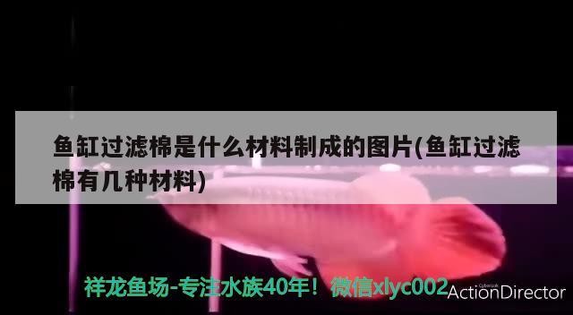 魚缸過濾棉是什么材料制成的圖片(魚缸過濾棉有幾種材料)過濾棉材料解析，探索不同種類的