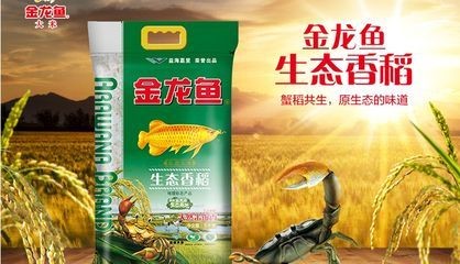 金龍魚生態(tài)香稻粳米價格，龍魚生態(tài)香稻粳米價格波動分析及市場趨勢預(yù)測
